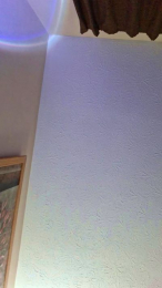 Scarlett_Jones8 webcam model stream image