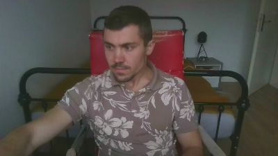 LibSwiss webcam model stream image