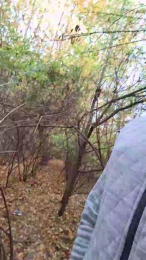 Socke72 webcam cam4 model stream image