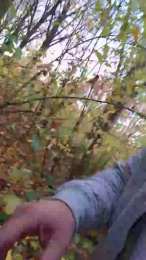 Socke72 webcam model stream image