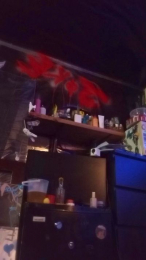 boss1nova webcam model stream image