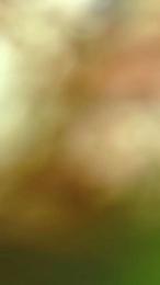 Freecumfre webcam cam4 model stream image