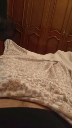 davidof3127 webcam model stream image