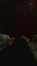 davidof3127 webcam model stream image