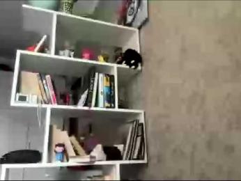 ekatela webcam bongacams model stream image