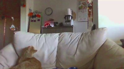 ginnygi webcam model stream image