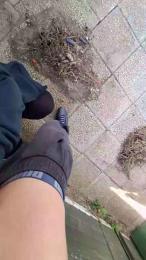 MarioeLola webcam cam4 model stream image