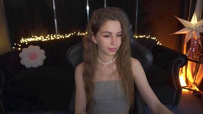 StellaHoneywell webcam model stream image