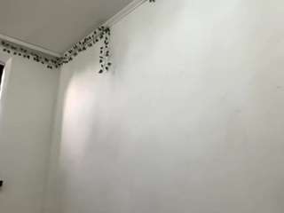 majoriejarchow webcam model stream image