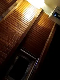 CurlyElisa webcam model stream image