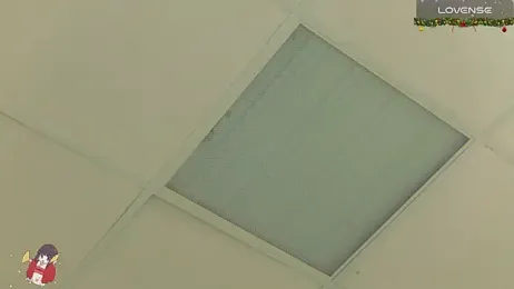 Evelyn_Neal webcam model stream image