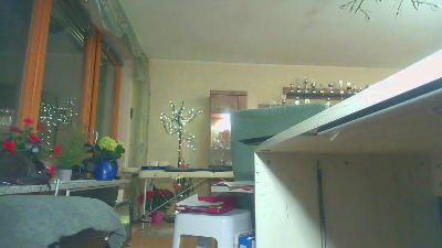 Liebherr66 webcam model stream image