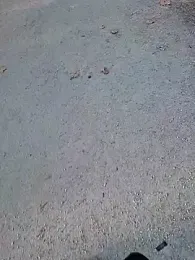 HornyTeacher1987 webcam stripchat model stream image