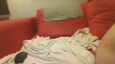 csarm webcam model stream image