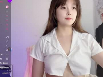 _flipped_ webcam model stream image