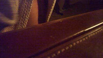 wonderfulcok webcam model stream image