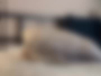 alex_schafer webcam model stream image