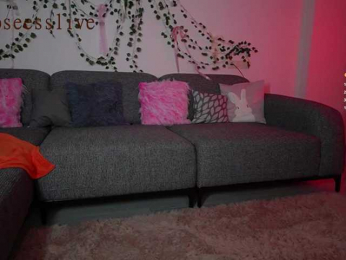 rosess_ webcam model stream image