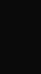 Tedoylalechita webcam model stream image