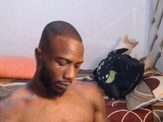 laspri webcam model stream image