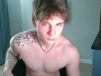 knotsiemens webcam model stream image