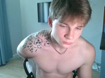 knotsiemens webcam model stream image