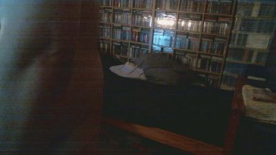 mojitosguy webcam model stream image