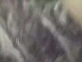 cameronfux webcam model stream image