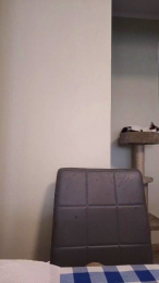 evakisimovareal webcam model stream image