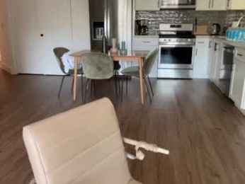 bloomyogi webcam model stream image