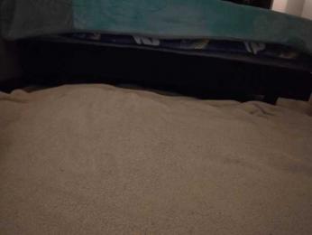Palmer404 webcam model stream image