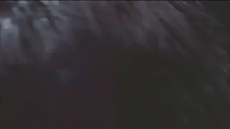 Sweet_Allan webcam stripchat model stream image