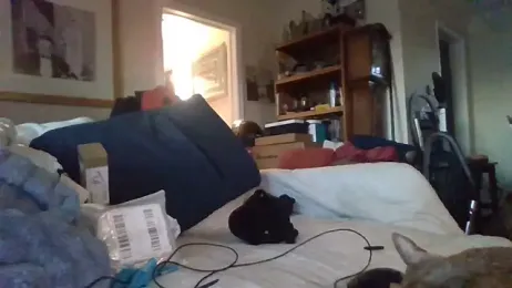 den-rock4u webcam model stream image