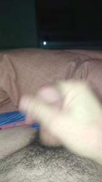 Plinplinn webcam model stream image