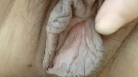 sonyx webcam model stream image