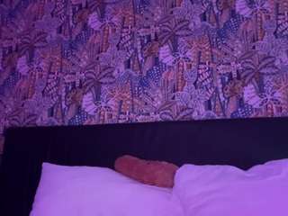 1rubys webcam model stream image