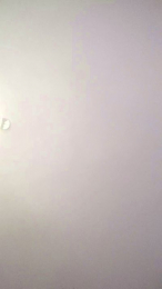 erbcn webcam model stream image