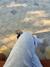 starvingo2002 webcam stripchat model stream image