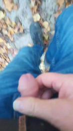 Gym2 webcam cam4 model stream image