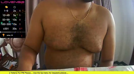 MRToyboyfun webcam model stream image