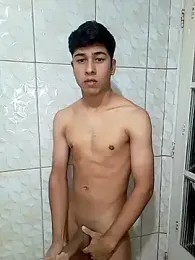 sss020 webcam model stream image