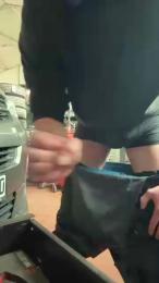 Sauger5891 webcam model stream image