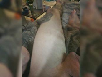 DaddyandHisDoll webcam model stream image