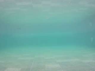 voyeurcam-casa-salsa-pool-1 webcam model stream image