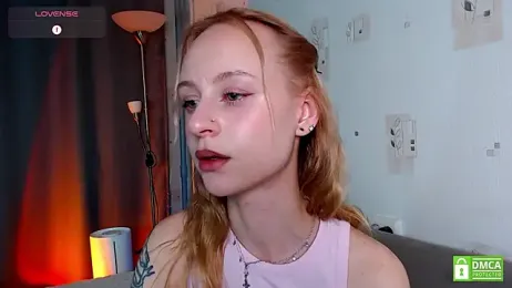 an_ross webcam model stream image