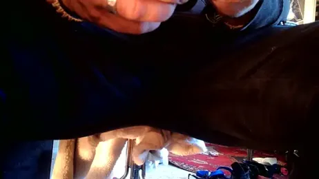 SilverandFox webcam model stream image