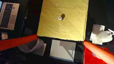 QcFF webcam model stream image