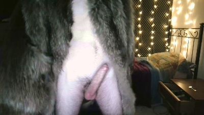 PupFluff webcam model stream image