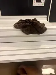 sukebegorilla webcam model stream image