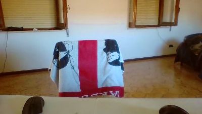 COBRAHARD webcam cam4 model stream image